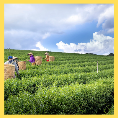 농식품바우처신청방법