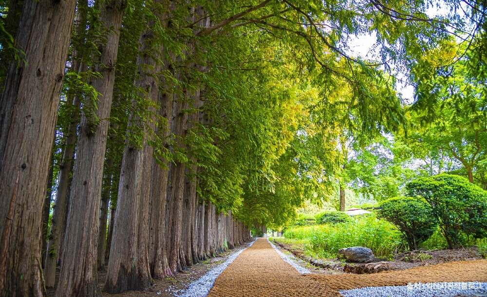 익산 아가페정원 예약