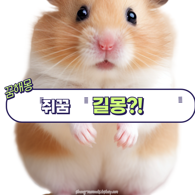 🐭 쥐 꿈 해몽 16가지: 쥐가 나타나는 꿈의 의미는?