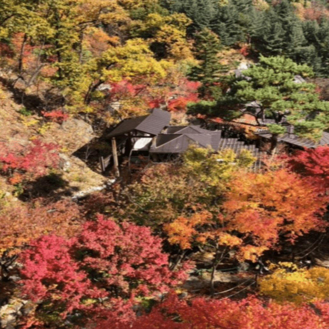 50대 여자친구들과 가기 좋은 국내 힐링 여행지