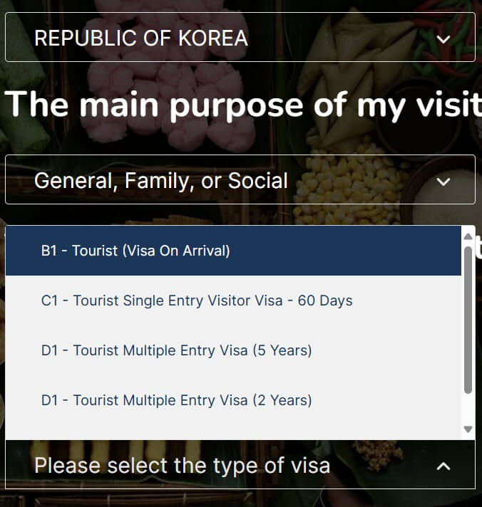 발리 비자발급