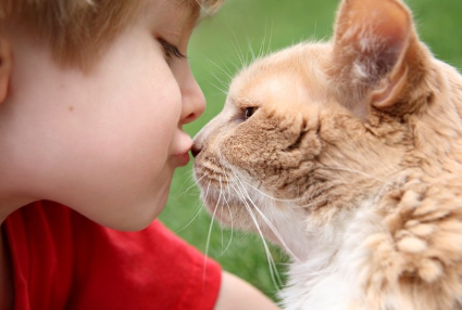 고양이와 키스하는 아이.