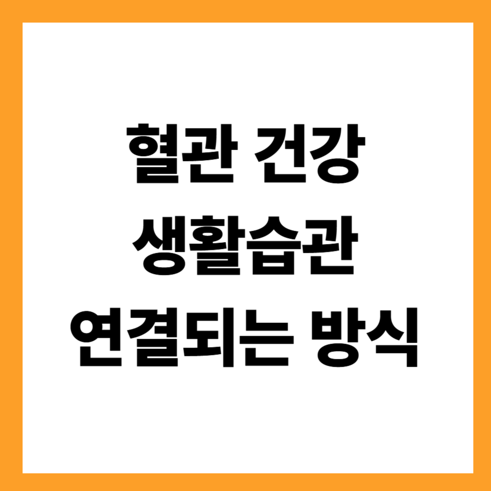 혈관 건강과 생활습관이 연결되는 방식