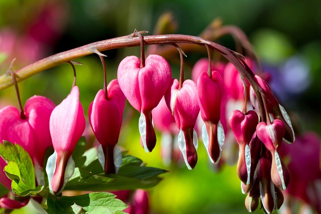 생리 후 부정출혈 원인 5가지 | 원인부터 예방까지 총정리