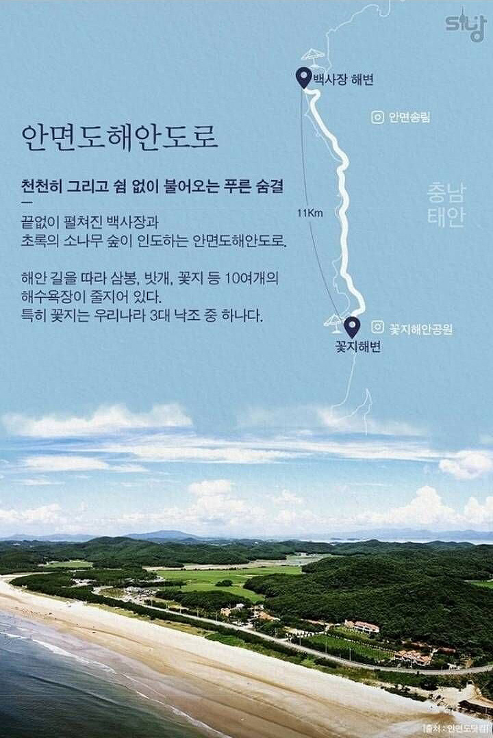 태안 안면도해안도로