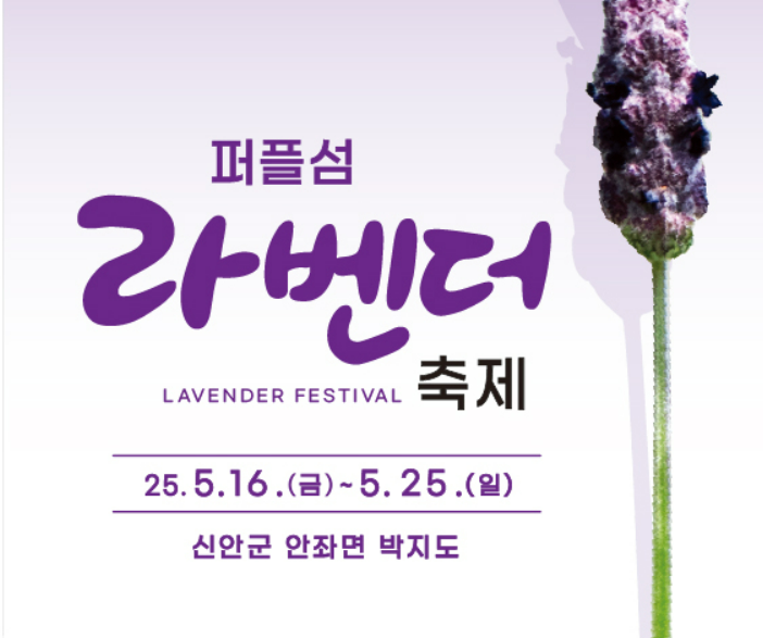 라벤더축제