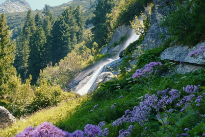 산꿈 상황별 해몽