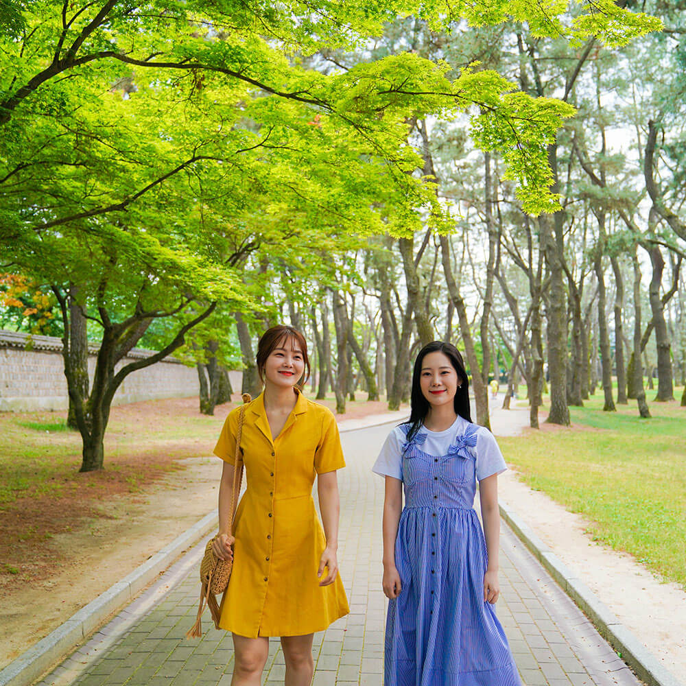 생방송투데이 3785회 '보고, 먹고, 즐기고! 3GO 여행' 경북 경주편, 경주대릉원, 동궁과 월지, 골굴사, 경주 얼굴빵 황리단길 맛집, 경주시 자전거공원, 서악마을