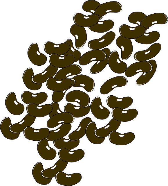 검은 콩의 효능과 부작용