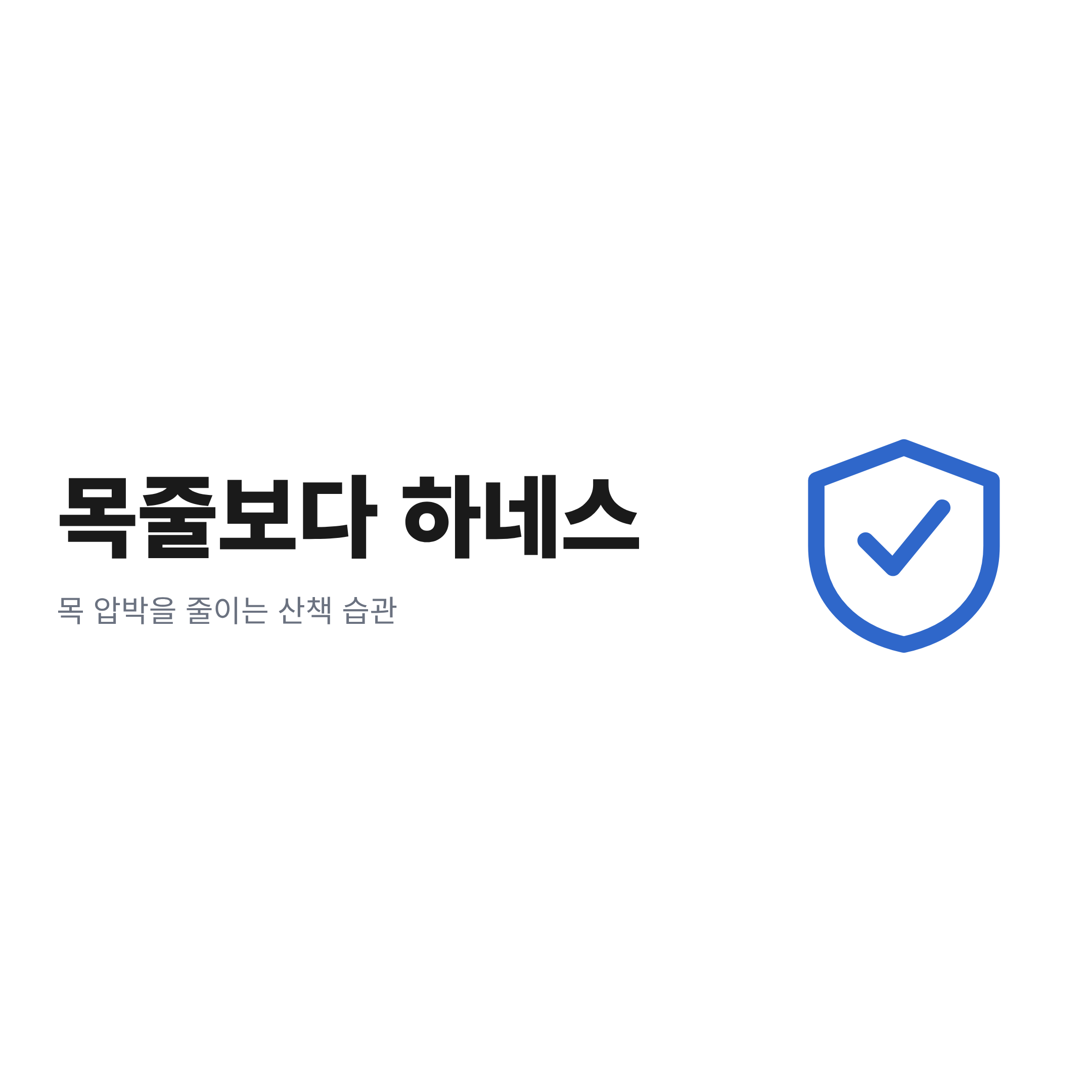 목줄보다 하네스라는 문구와 방패 아이콘으로 목 압박을 줄이는 산책 습관을 안내한 카드