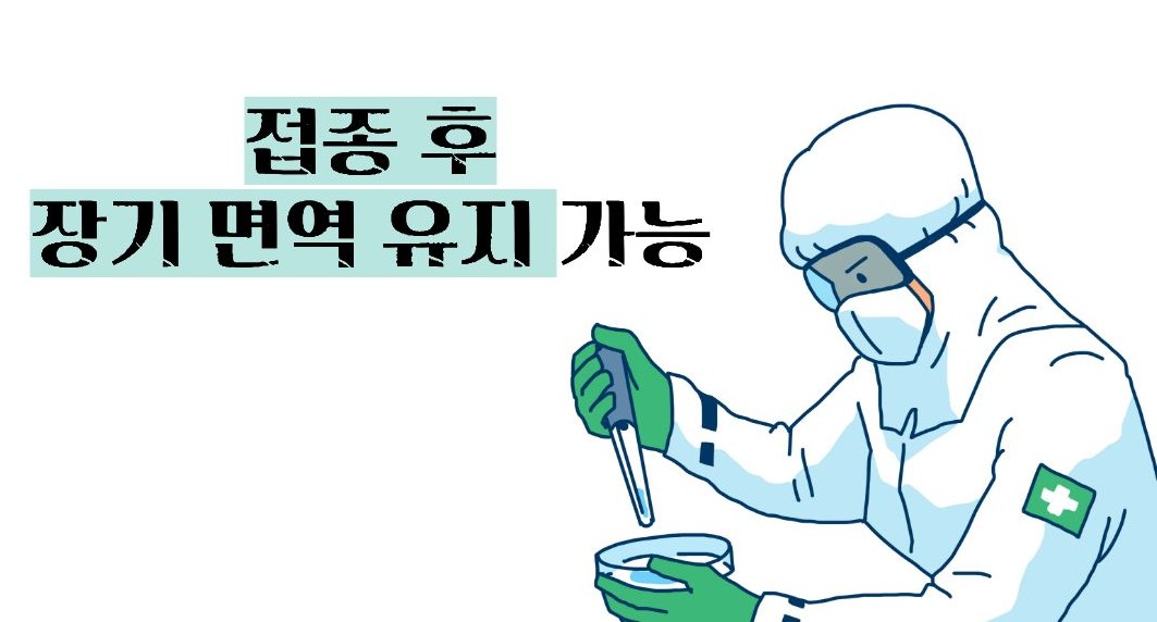 싱그릭스 접종 가격 부작용