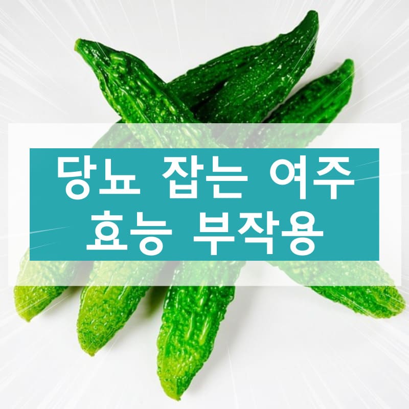 여주 효능 부작용