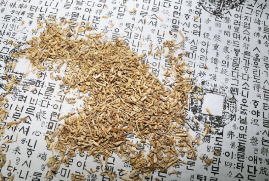 야생에서 채취를 한 백모근 나무의 뿌리를 잘 세척한 후에 건조시킨 것을 잘게 자른 것을 옛 글자가 쓰여 있는 하얀 종이 위에 놓아두고 찍은 사진