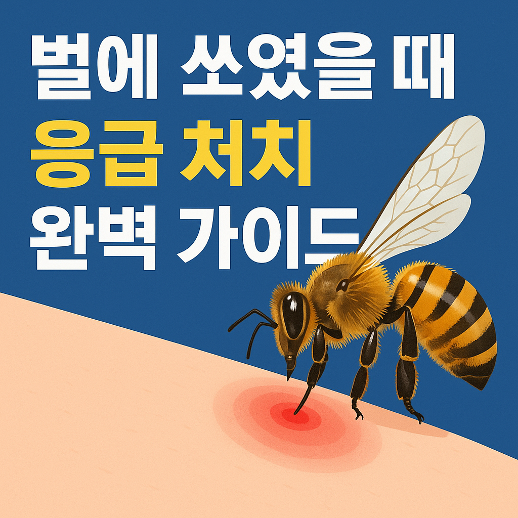 벌에 쏘였을 때 응급 처치 완벽 가이드 당황하지 말고 이렇게 하세요.