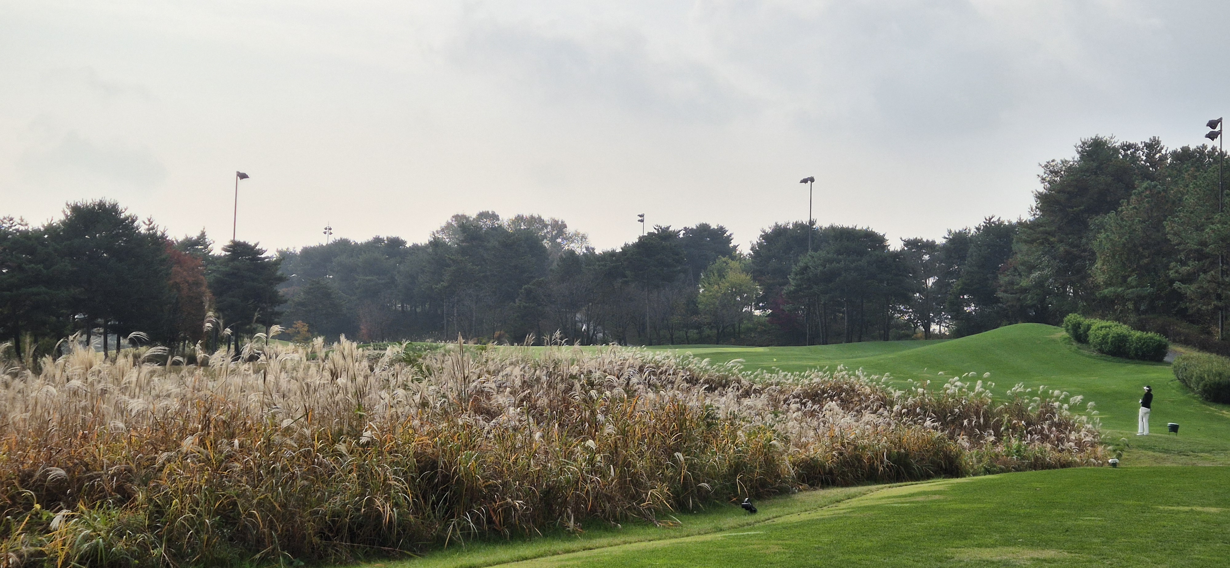 마이다스레이크 이천cc 올림푸스 코스 사진 및 공략 정보