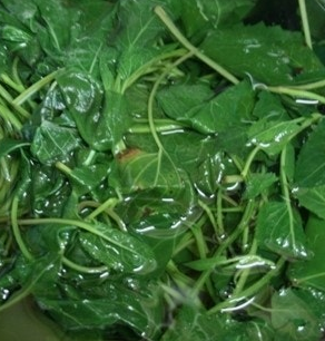 취나물 효능 부작용 칼로리 고르는법