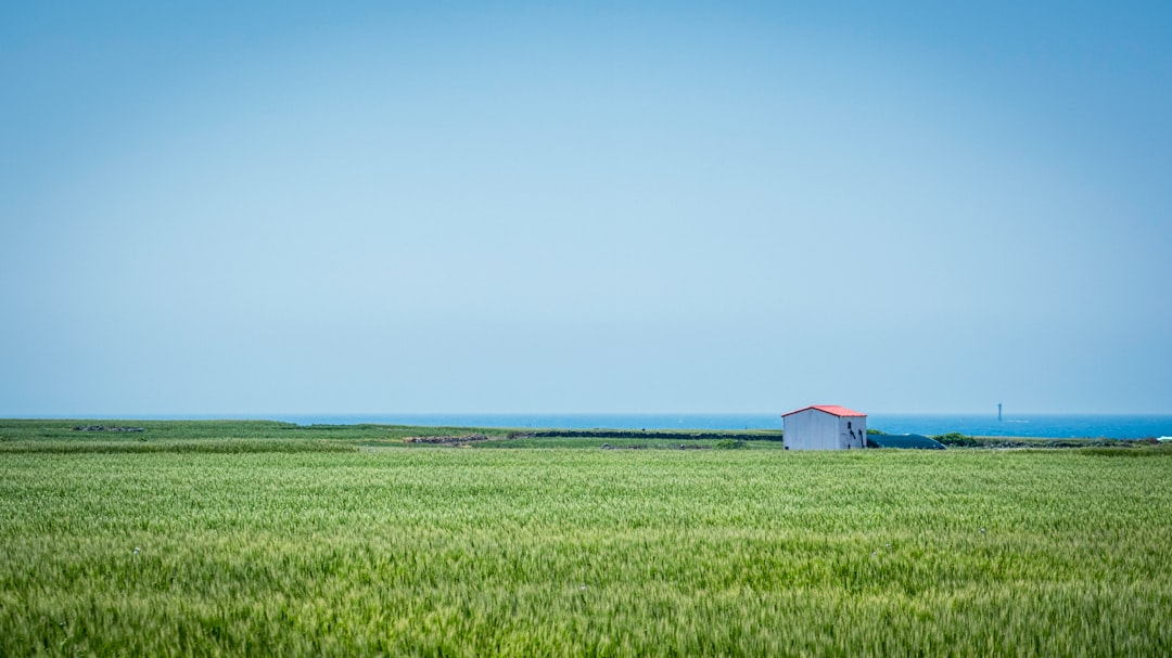 Jeju Island