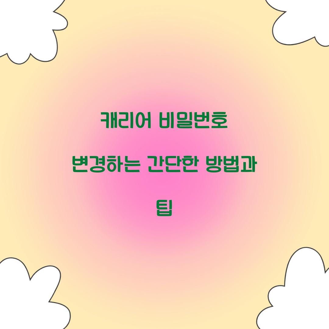 캐리어 비밀번호 변경