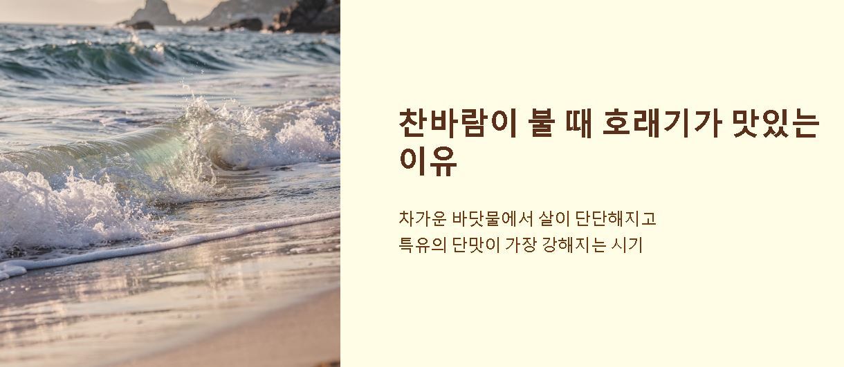 호래기 철 제철 가격