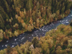 가래가 많이 나오는 이유