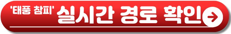 태풍 참피