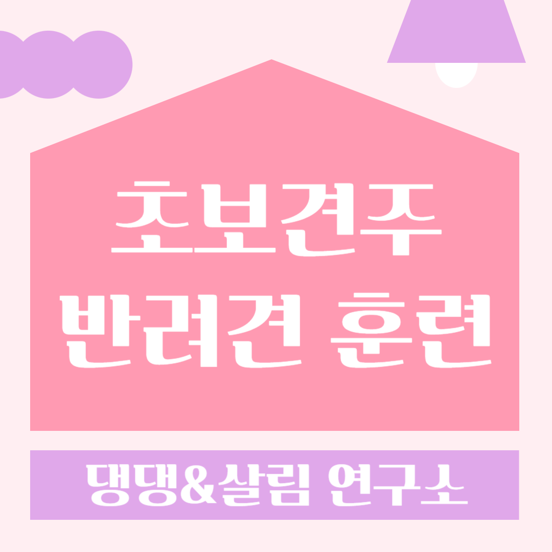반려견 훈련