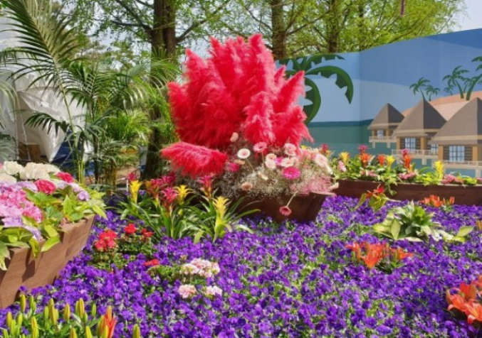 고양국제꽃박람회