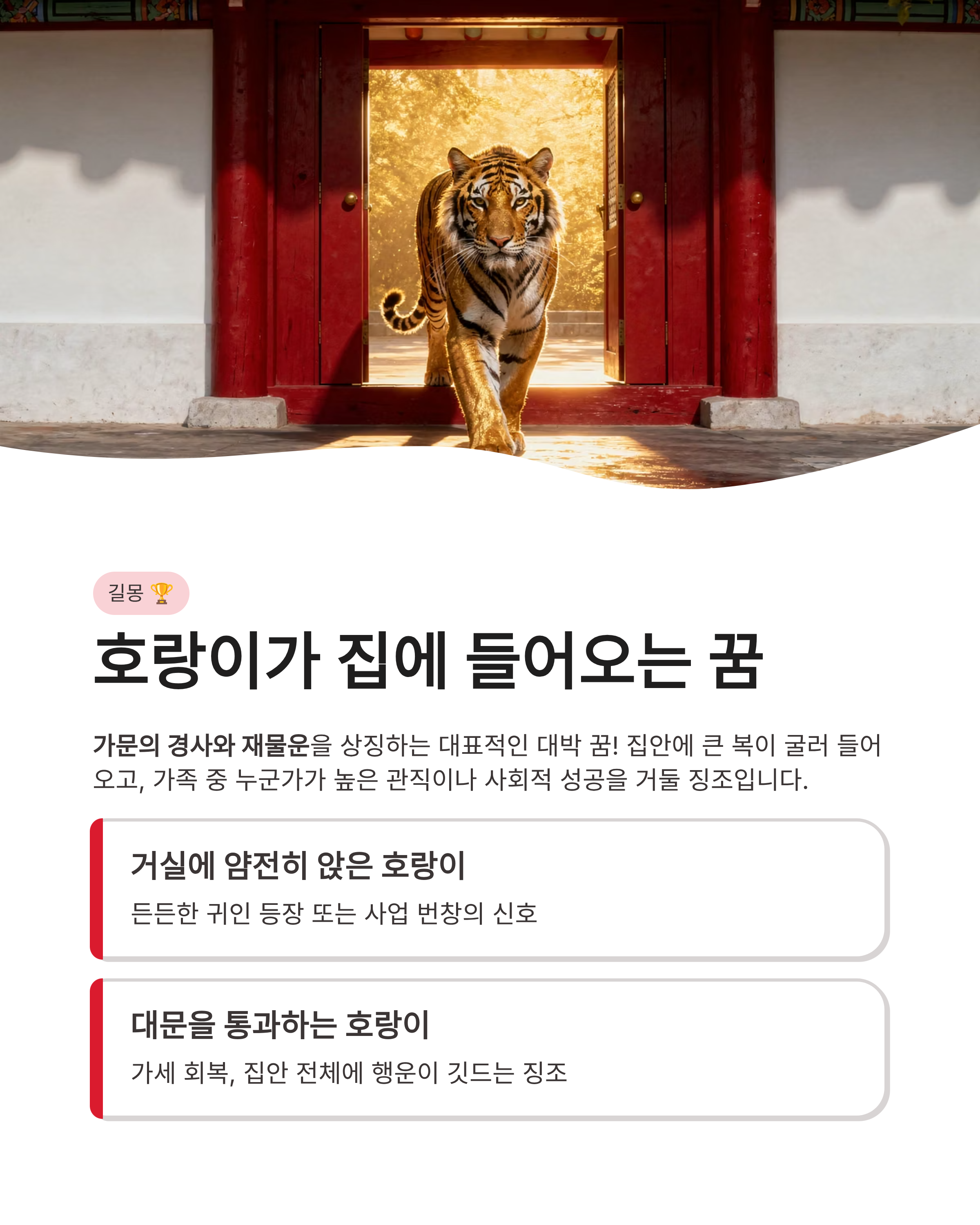 호랑이꿈 해몽 ❘ 집에 들어오는 새끼 호랑이 쫓기는 꿈까지 상황별 완벽 정리!