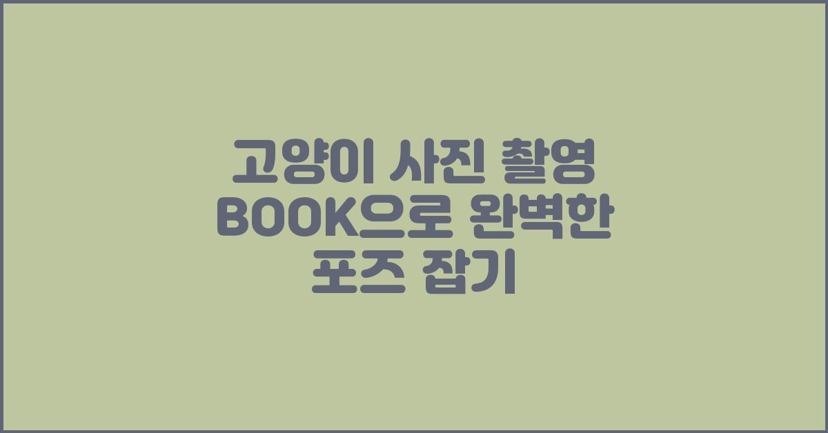 고양이 사진 촬영 BOOK