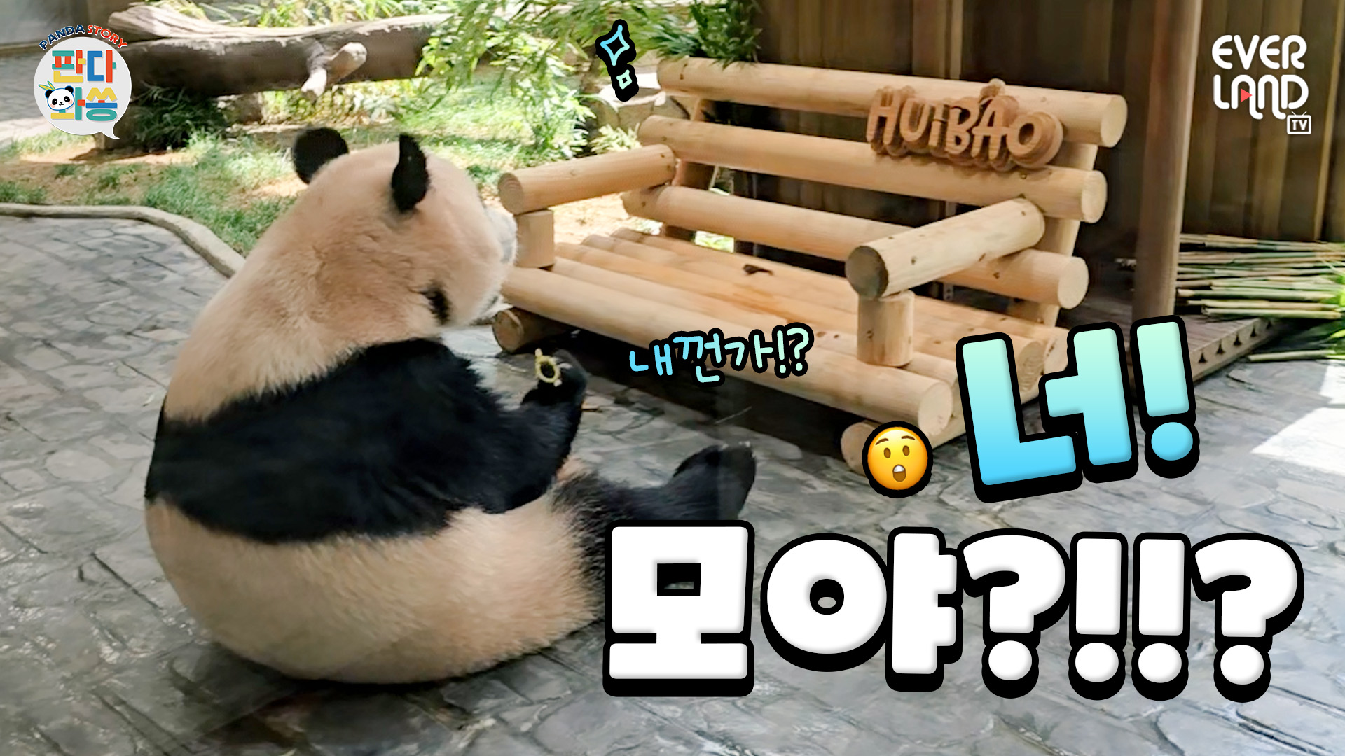 저희 지금 진지한 대화중이에요. (Feat.루후전용벤치🎂)｜#판다와쏭 #262