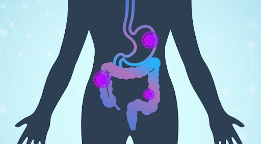 깻잎 효능 5가지 칼로리 부작용