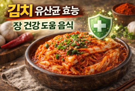 김치 유산균 효능과 장 건강 도움 발효 음식 김치 이미지