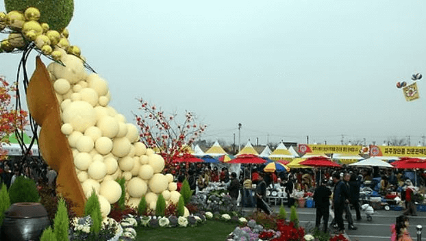 장단콩-축제,-파주