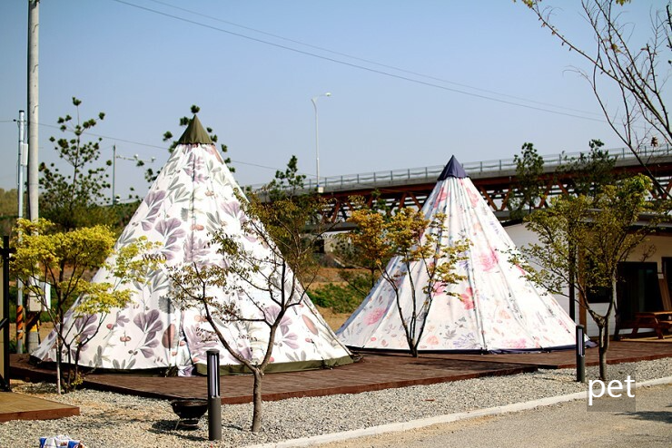 경기-연천-캠핑브릿지캠핑장-예약-방법-애견-동반-가격-주소-시간-후기