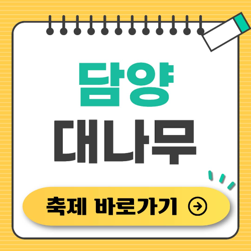 담양 대나무 축제