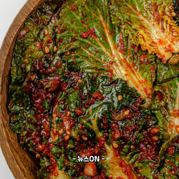 배추겉절이 만드는법