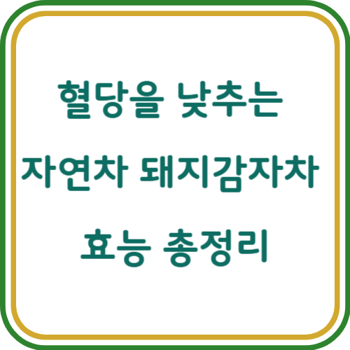 돼지감자차 효능