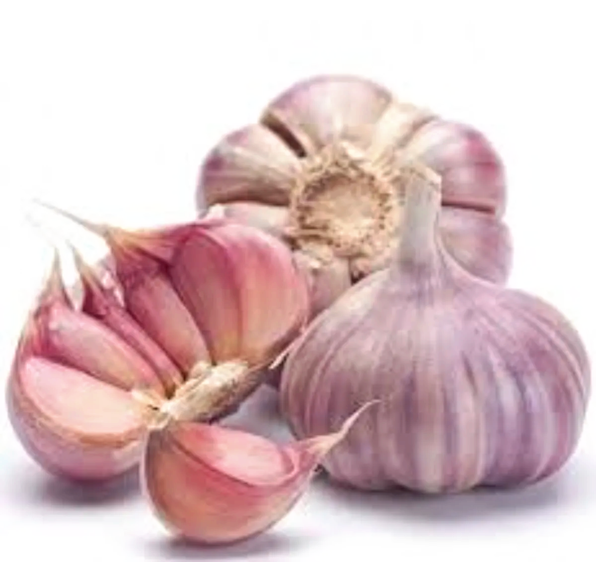 껍질이 붉은 마늘