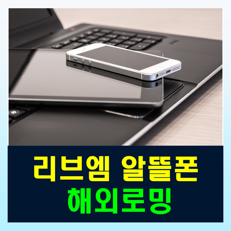 리브엠 로밍 통신망별 요금제 상세정리