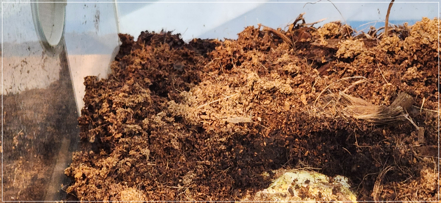 롯데시네마-판교-주차-가볼만한-곳