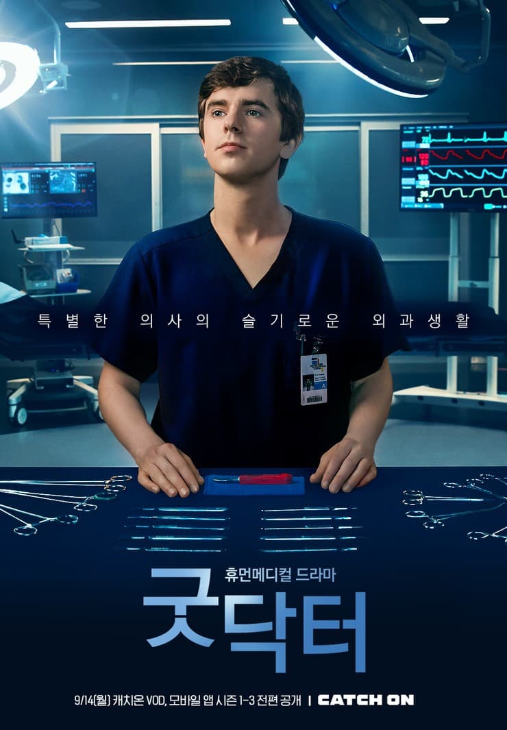 미드 굿닥터