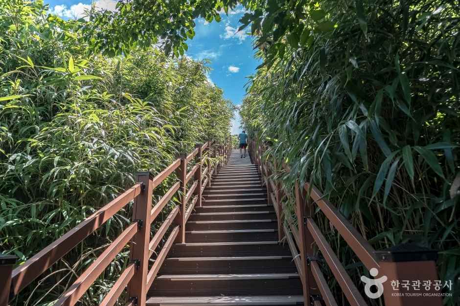 덕봉산 해안생태탐방로 전망대