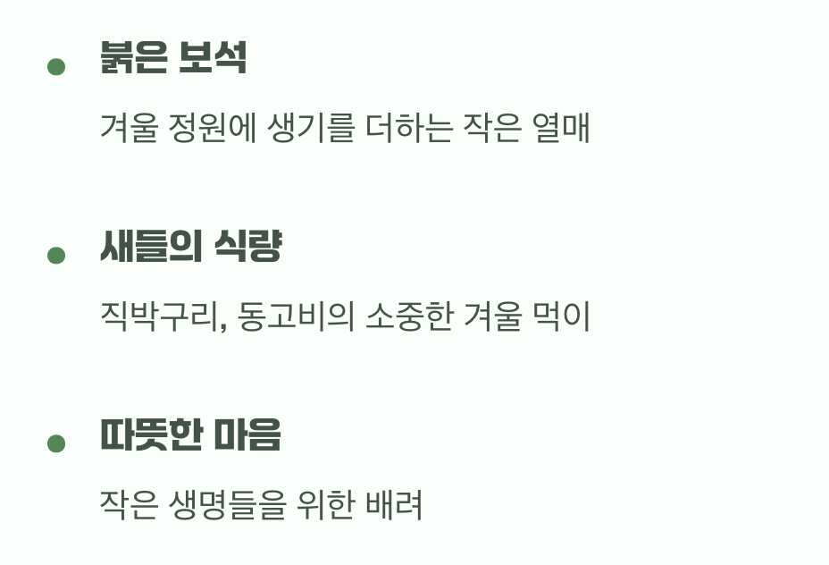 비결 4. 새들을 위한 겨울 식량 창고
