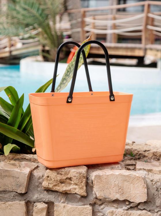 힌자백 S 아프리콧