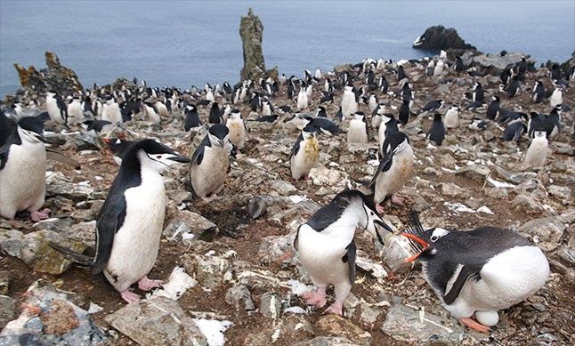 민준홍 대원 프로필