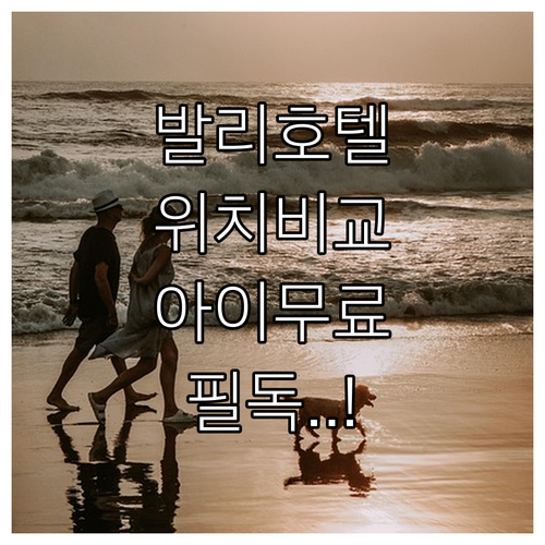 실제 투숙평 기반 발리 호텔 위치별 ..