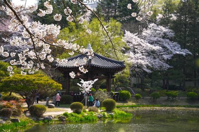 경주 보문호수 관련 사진