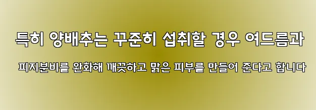  특히 양배추는 꾸준히 섭취할 경우 여드름과 피지분비를 완화해 깨끗하고 맑은 피부를 만들어 준다고 합니다