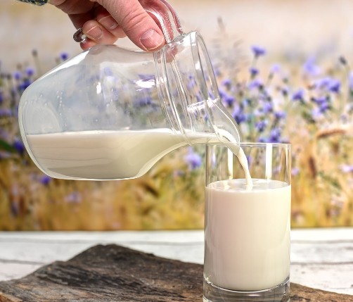 일반 우유, 저지방 우유, 무지방 우유 어떤 차이점이 있을까?