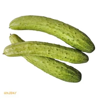 nv_오이 효능_7